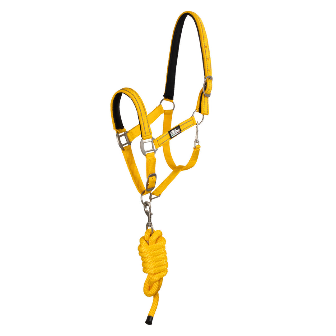 SYNTHETIC HALTER WITH LEAD  SOLID COLOR WITH  YELLOW