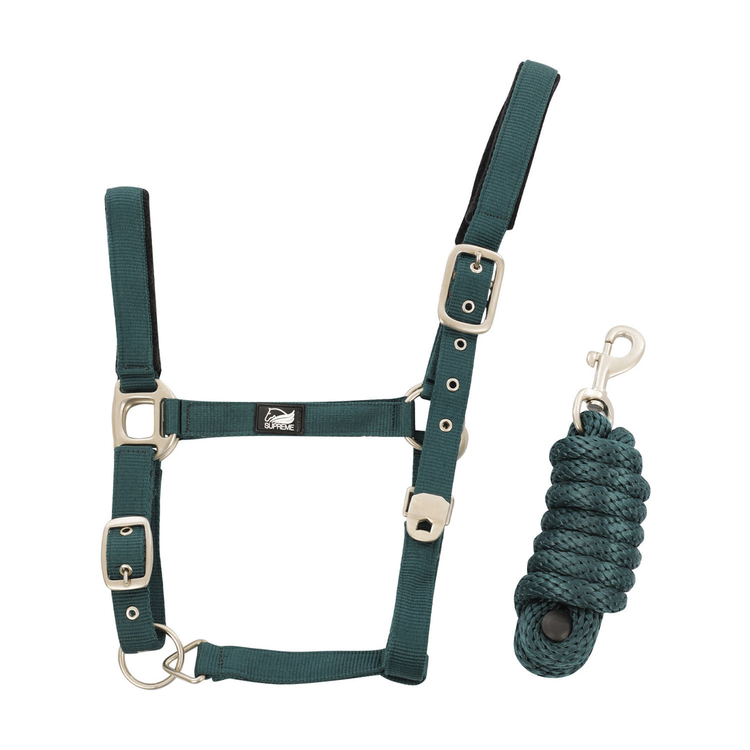 NYLON HALTER WITH LEATHER REINFORCEMENT. COMP HUNTER GREEN