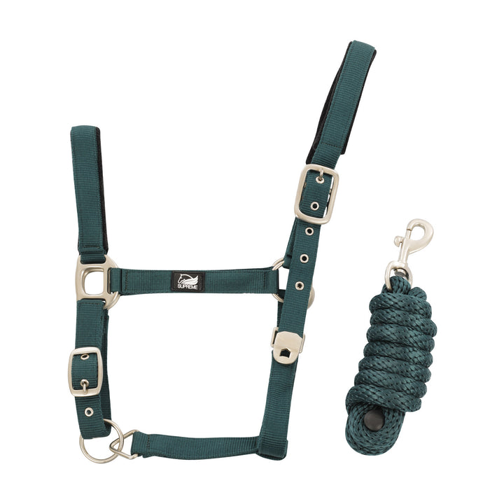 NYLON HALTER WITH LEATHER REINFORCEMENT. COMP HUNTER GREEN