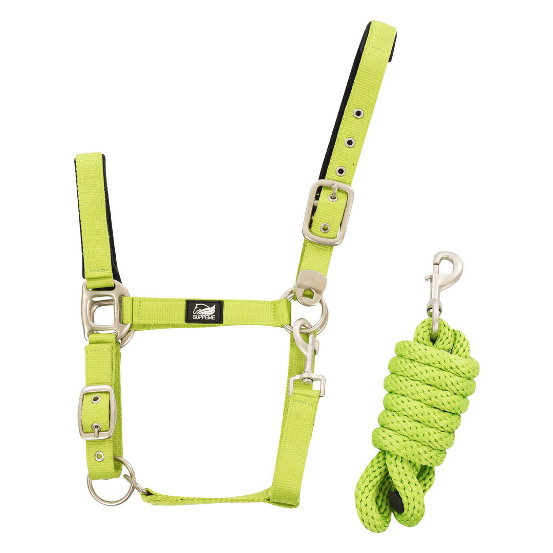 NYLON HALTER WITH LEATHER REINFORCEMENT. COMP LIME