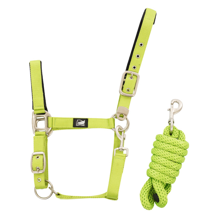 NYLON HALTER WITH LEATHER REINFORCEMENT. COMP LIME