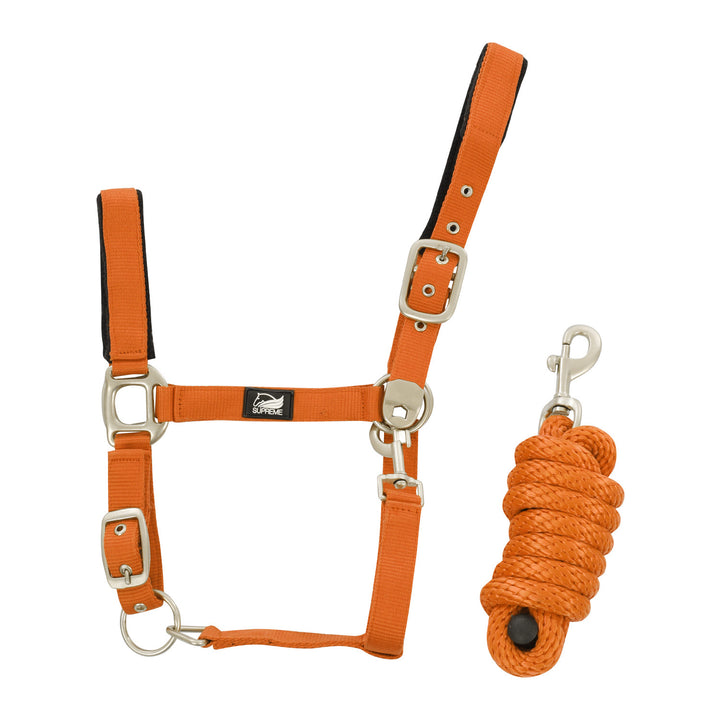 NYLON HALTER WITH LEATHER REINFORCEMENT. COMP ORANGE
