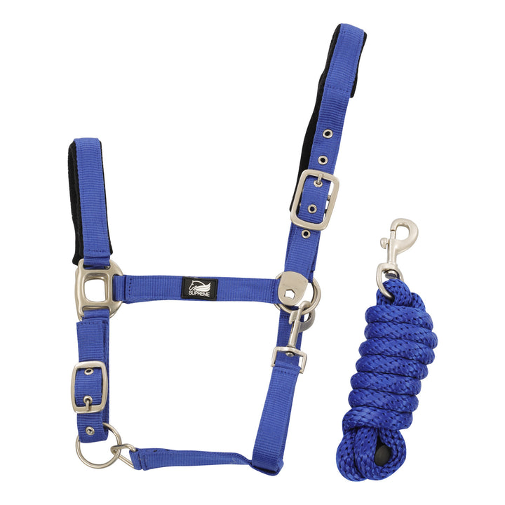 NYLON HALTER WITH LEATHER REINFORCEMENT. COMP ROYAL BLUE