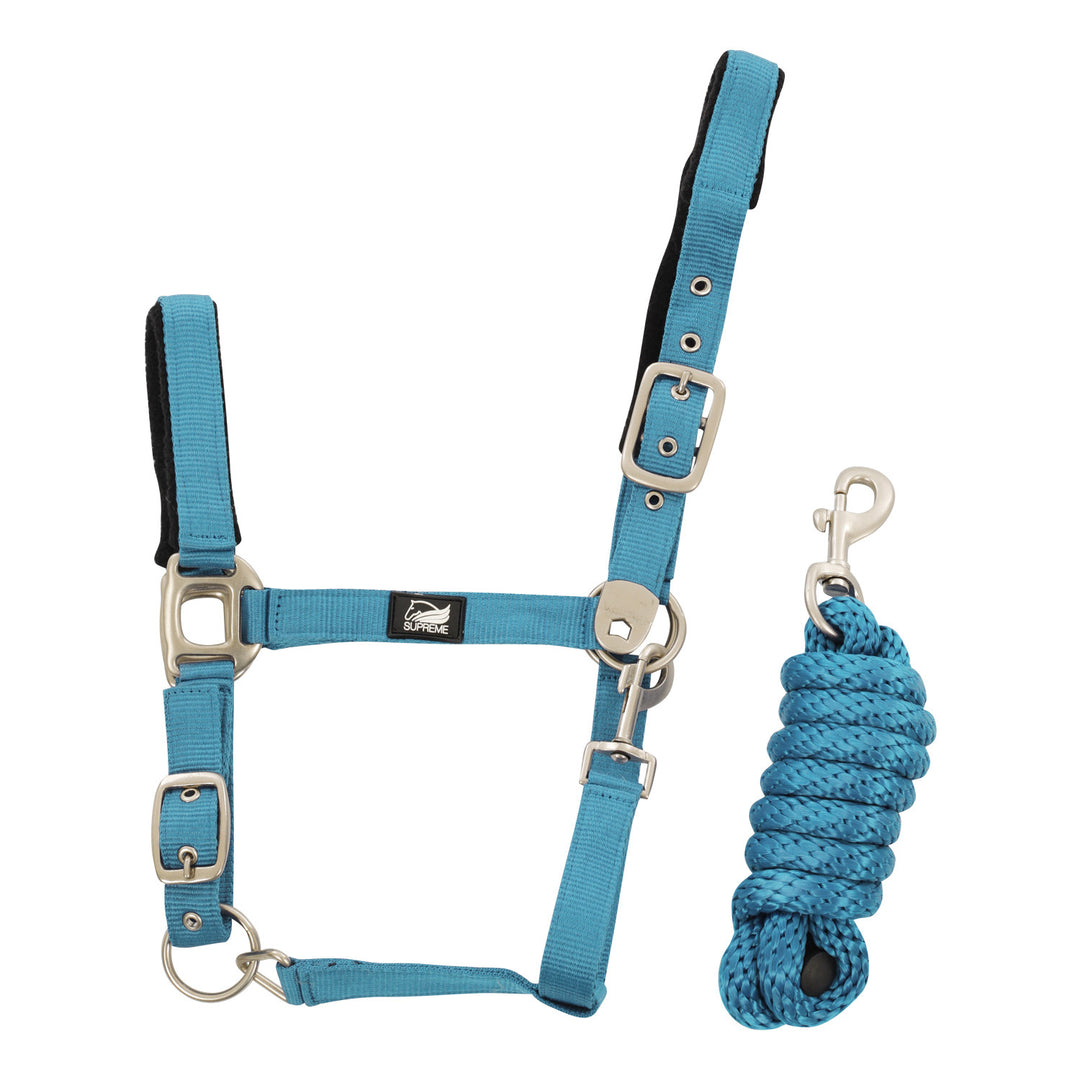 NYLON HALTER WITH LEATHER REINFORCEMENT. COMP TURQUOISE