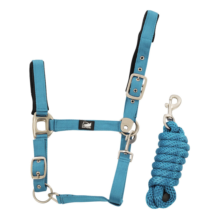NYLON HALTER WITH LEATHER REINFORCEMENT. COMP TURQUOISE