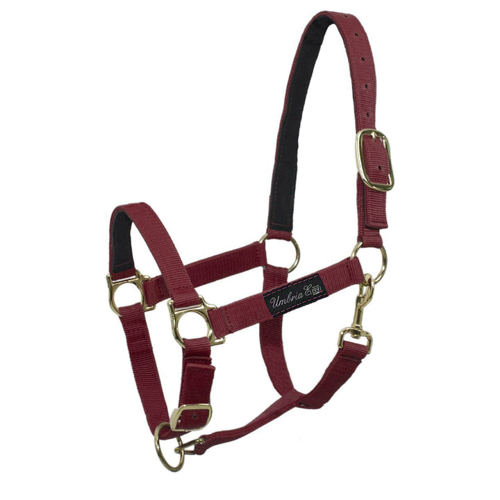 NYLON HALTER WITH LEATHER REINFORCEMENT BURGUNDY