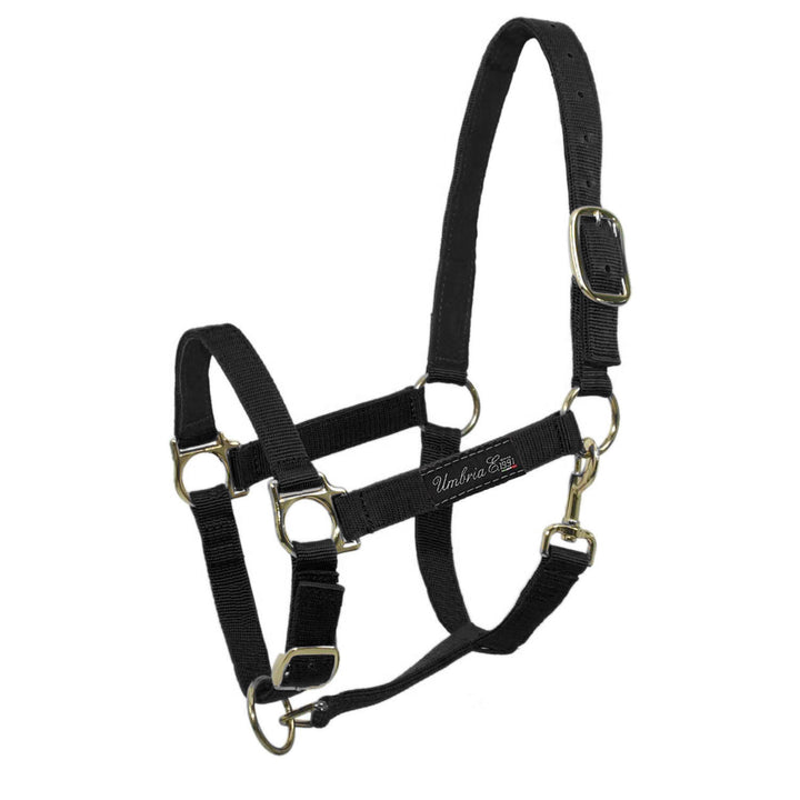 NYLON HALTER WITH LEATHER REINFORCEMENT