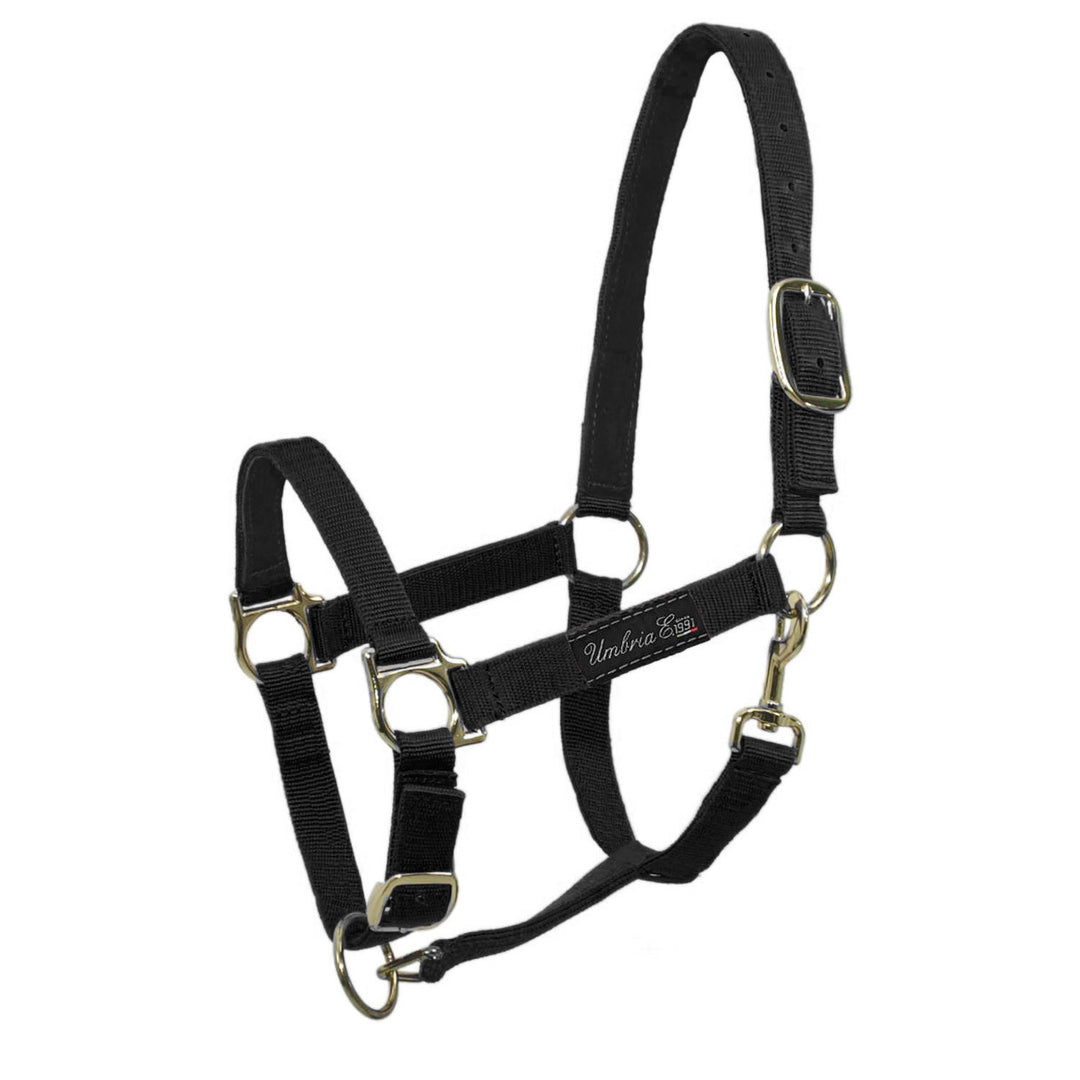 NYLON HALTER WITH LEATHER REINFORCEMENT BLACK