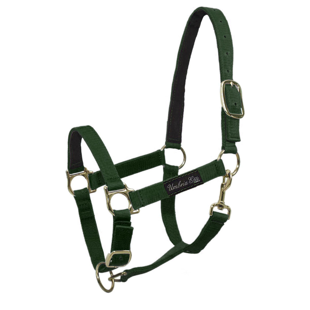 NYLON HALTER WITH LEATHER REINFORCEMENT GREEN