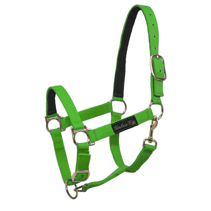 NYLON HALTER WITH LEATHER REINFORCEMENT LIME