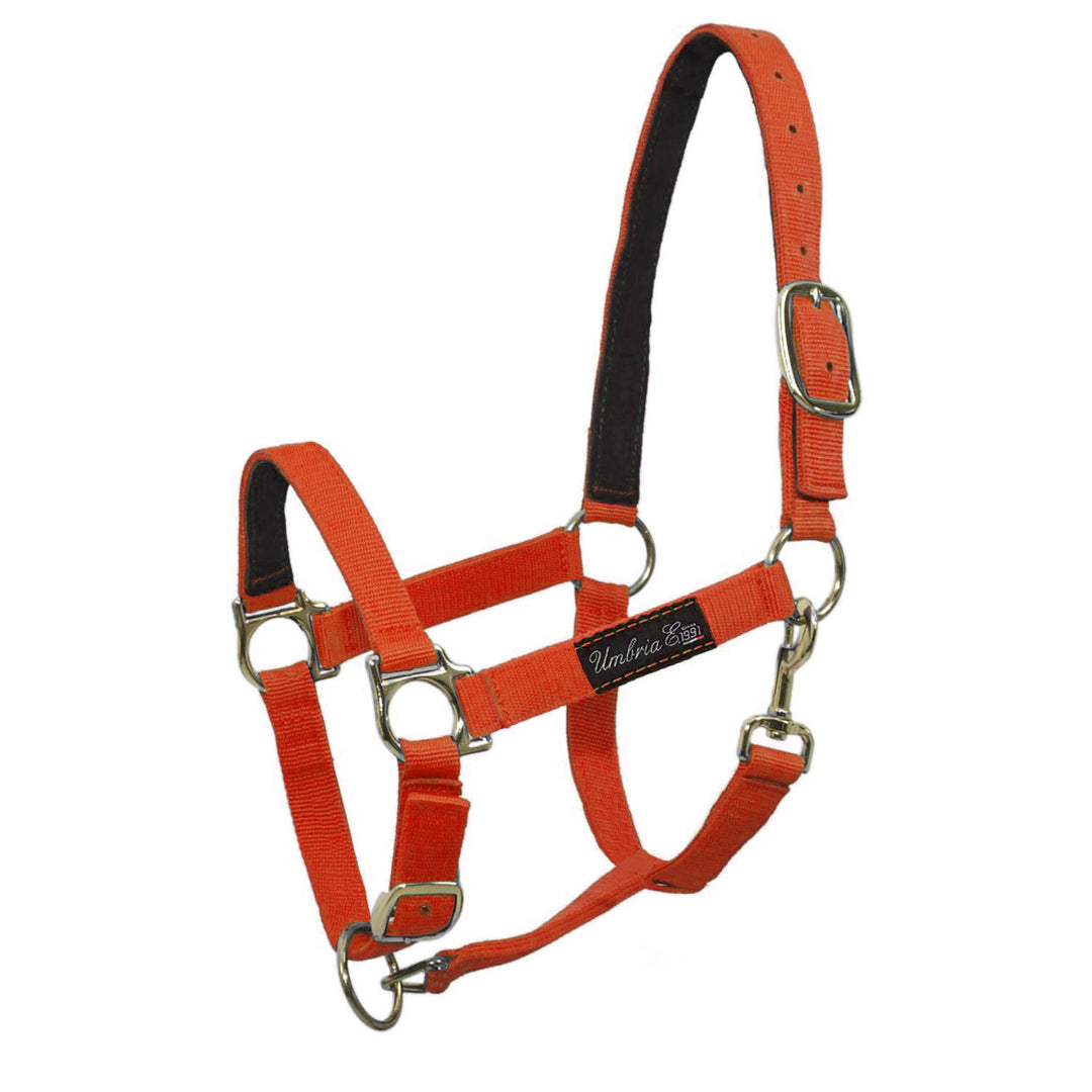 NYLON HALTER WITH LEATHER REINFORCEMENT ORANGE