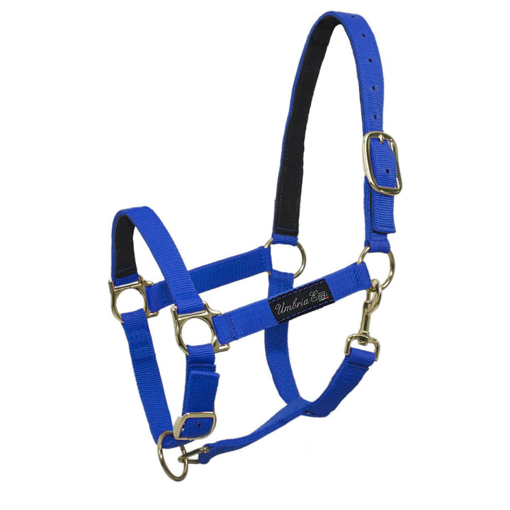 NYLON HALTER WITH LEATHER REINFORCEMENT ROYAL BLUE
