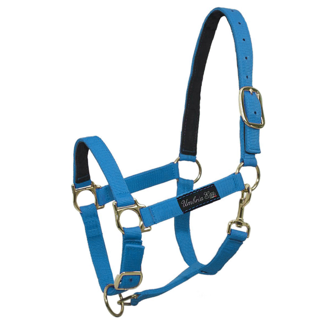 NYLON HALTER WITH LEATHER REINFORCEMENT TURQUOISE