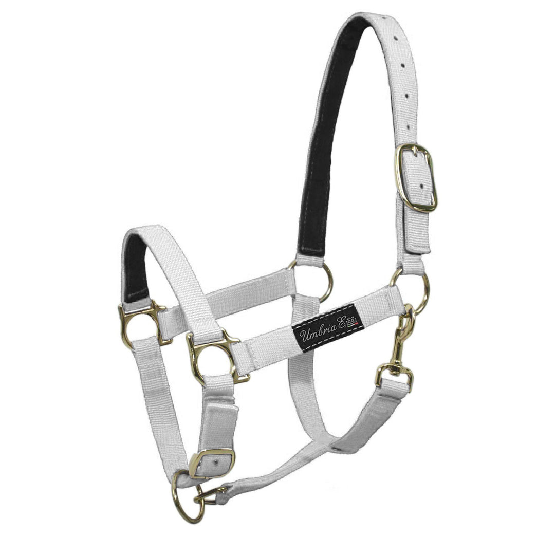 NYLON HALTER WITH LEATHER REINFORCEMENT WHITE