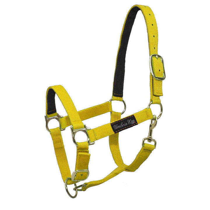 NYLON HALTER WITH LEATHER REINFORCEMENT YELLOW