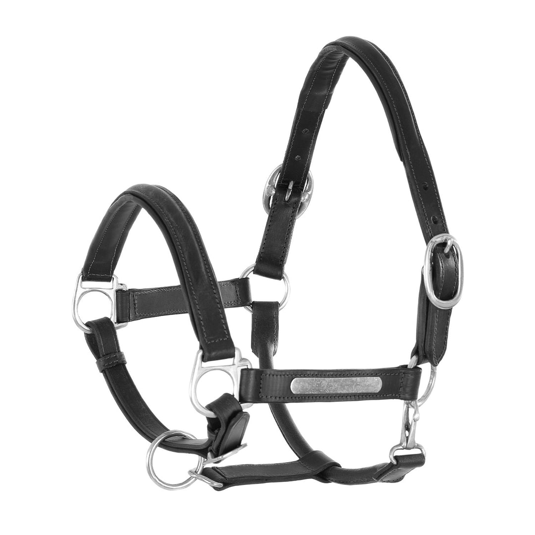 LEATHER HALTER WITH BRASS NAMEPLATES BLACK