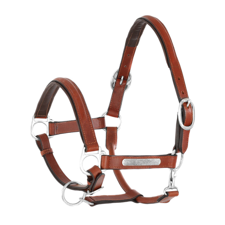 LEATHER HALTER WITH BRASS NAMEPLATES COGNAC