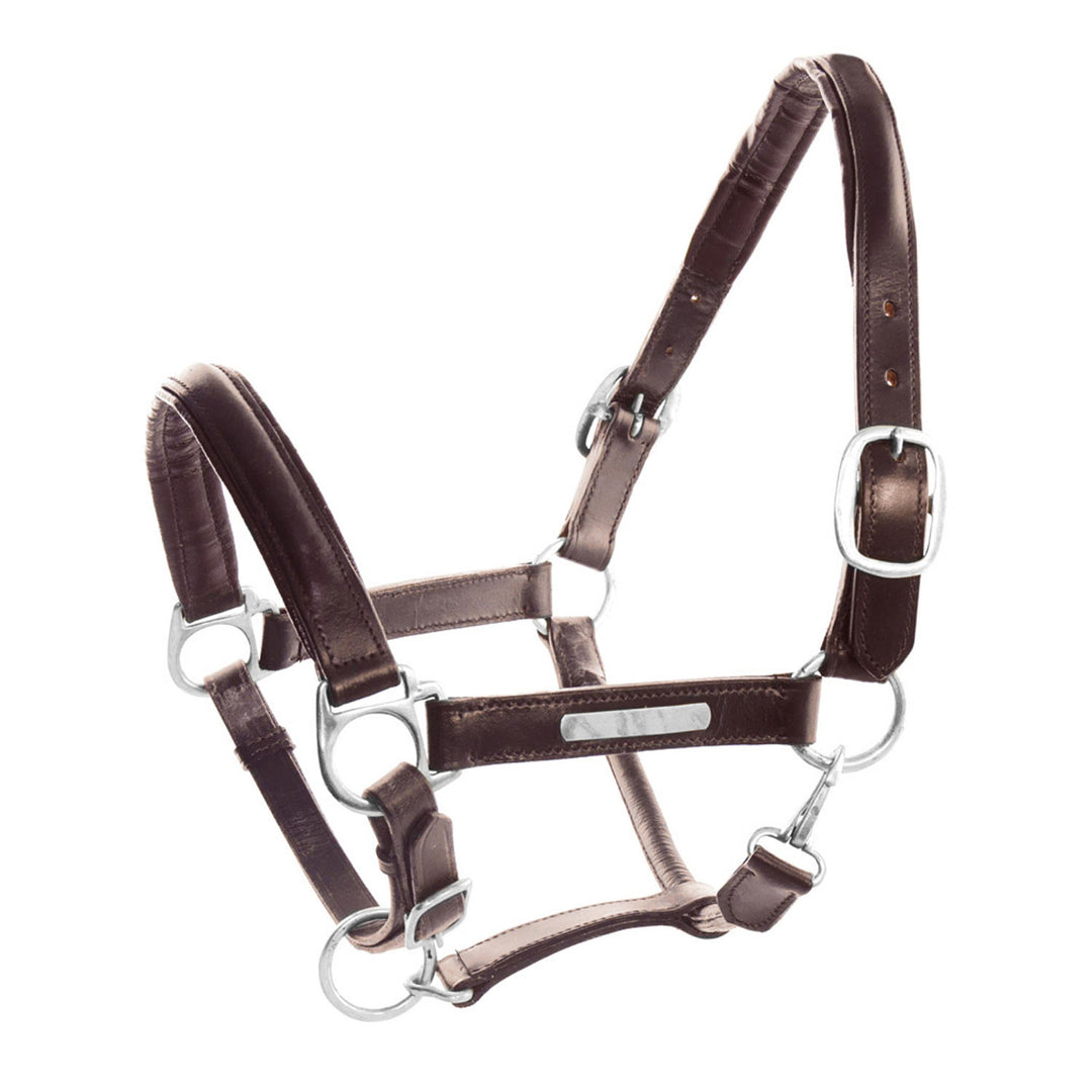 LEATHER HALTER WITH BRASS NAMEPLATES DARK BROWN