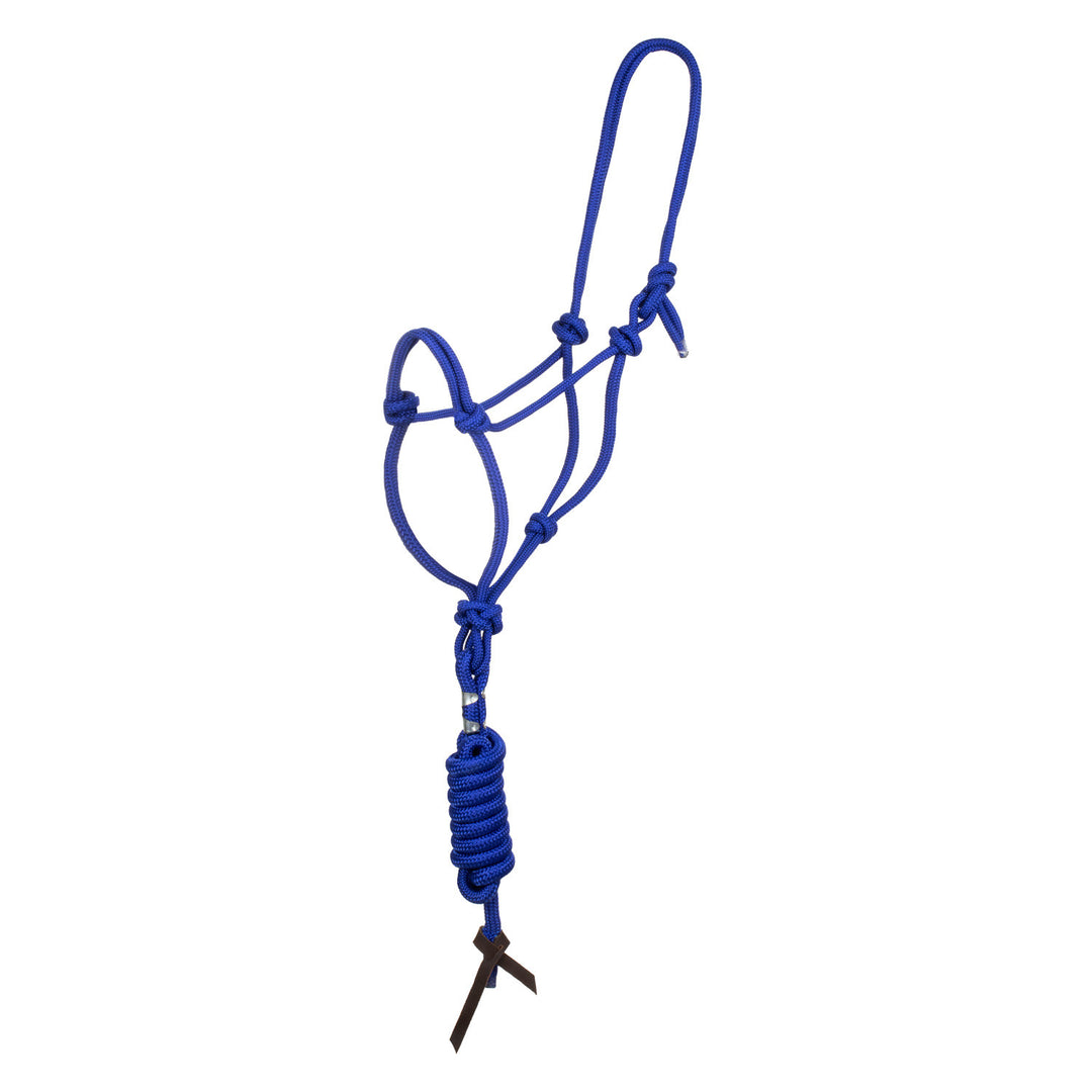 KNOT HALTER WITH LEAD ROYAL BLUE