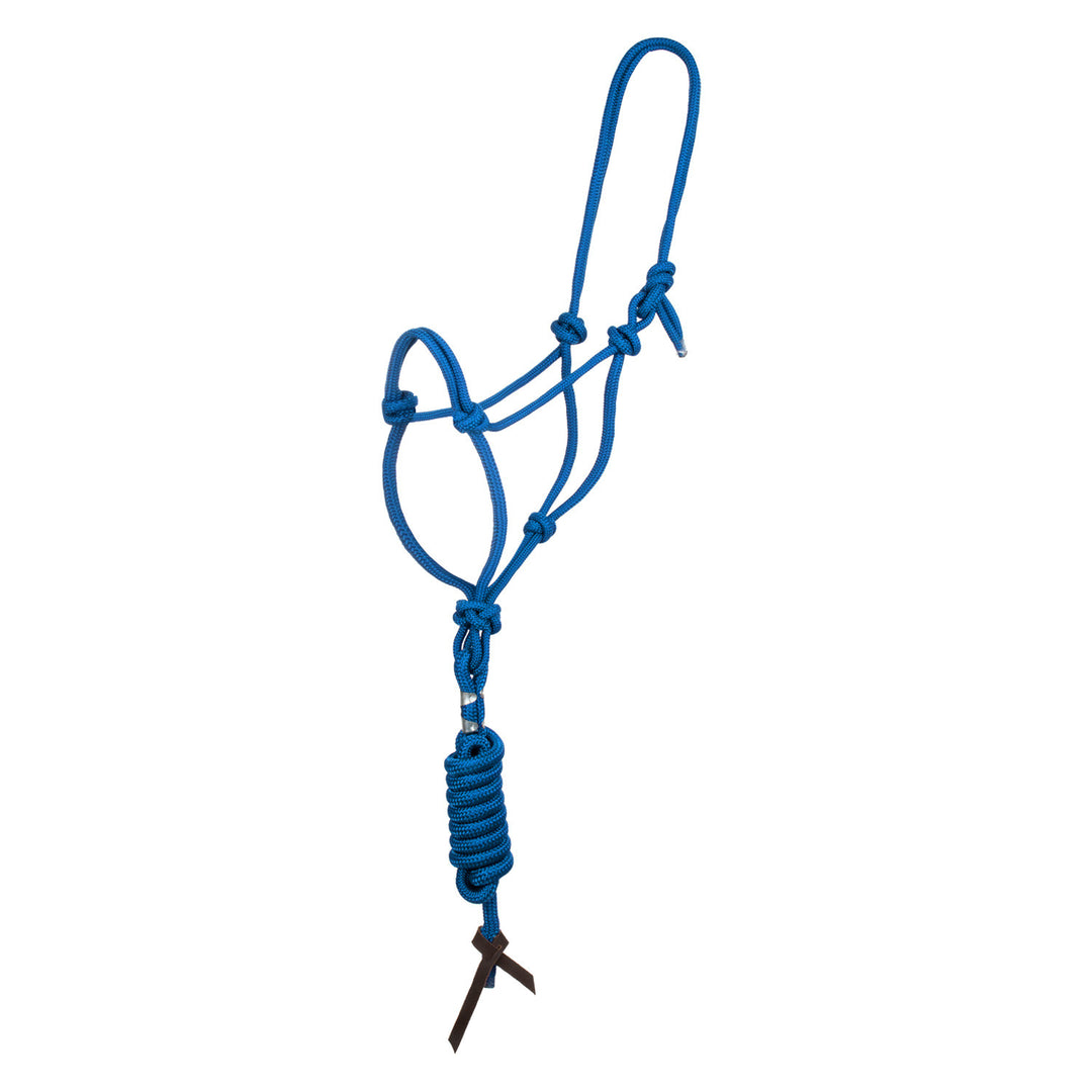 KNOT HALTER WITH LEAD TURQUOISE