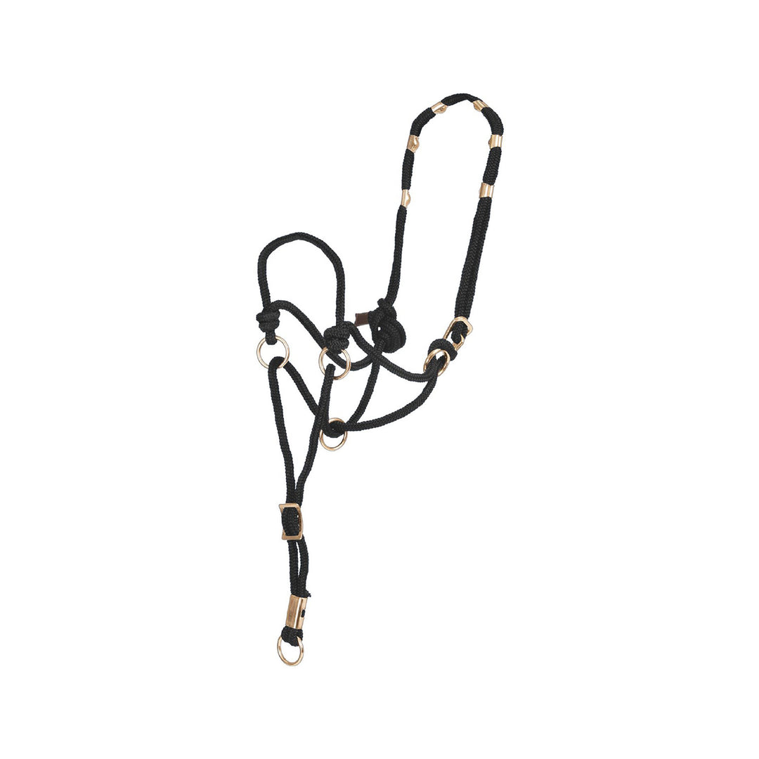 POOL'S DIRECTION HALTER