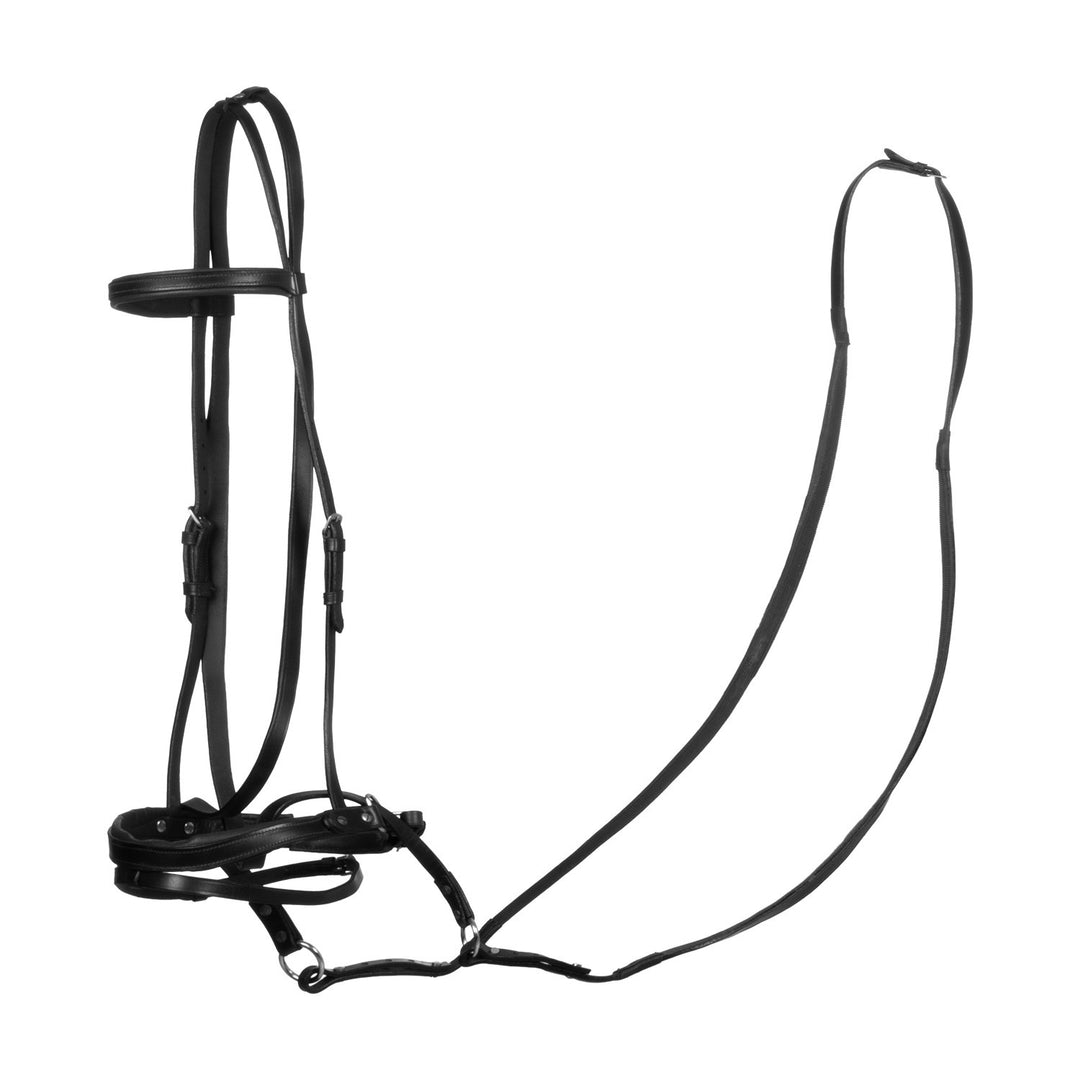HORSE BALL LEATHER BRIDLE BLACK