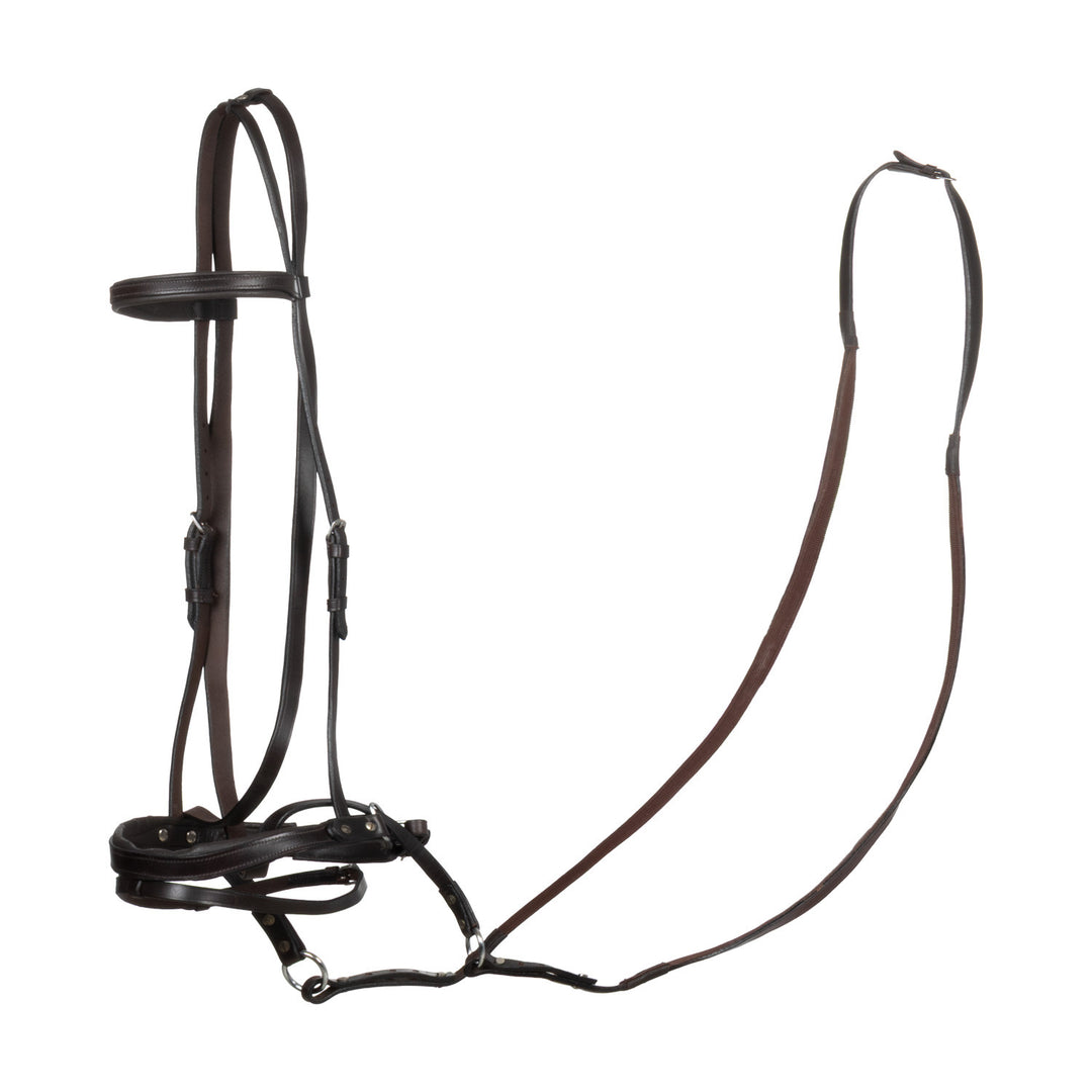HORSE BALL LEATHER BRIDLE