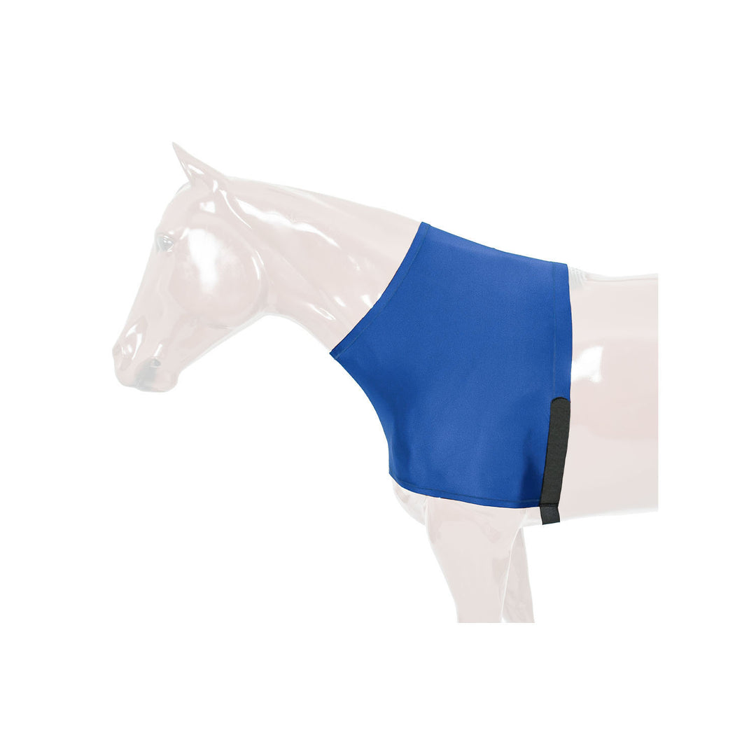 TECHNICAL FABRIC SHAWL ROYAL BLUE