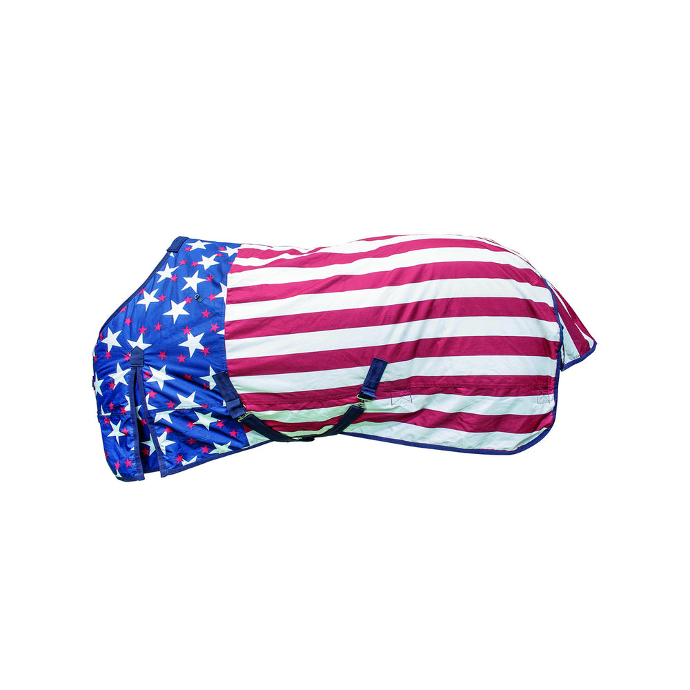 OUTDOOR WATERPROOF USA FLAG RUG NIAGARA MODEL USA FLAG