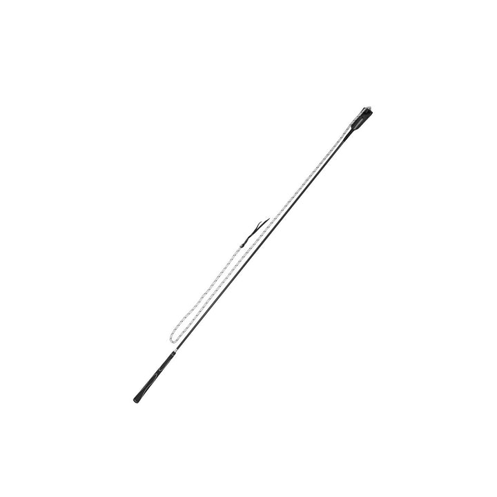 CARROT STICK 120