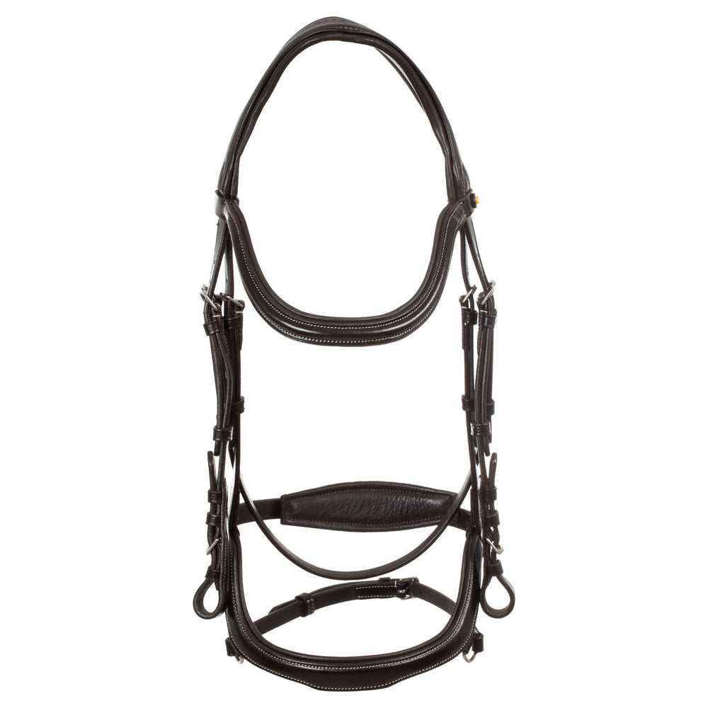 Anatomical bridle contrast stitching