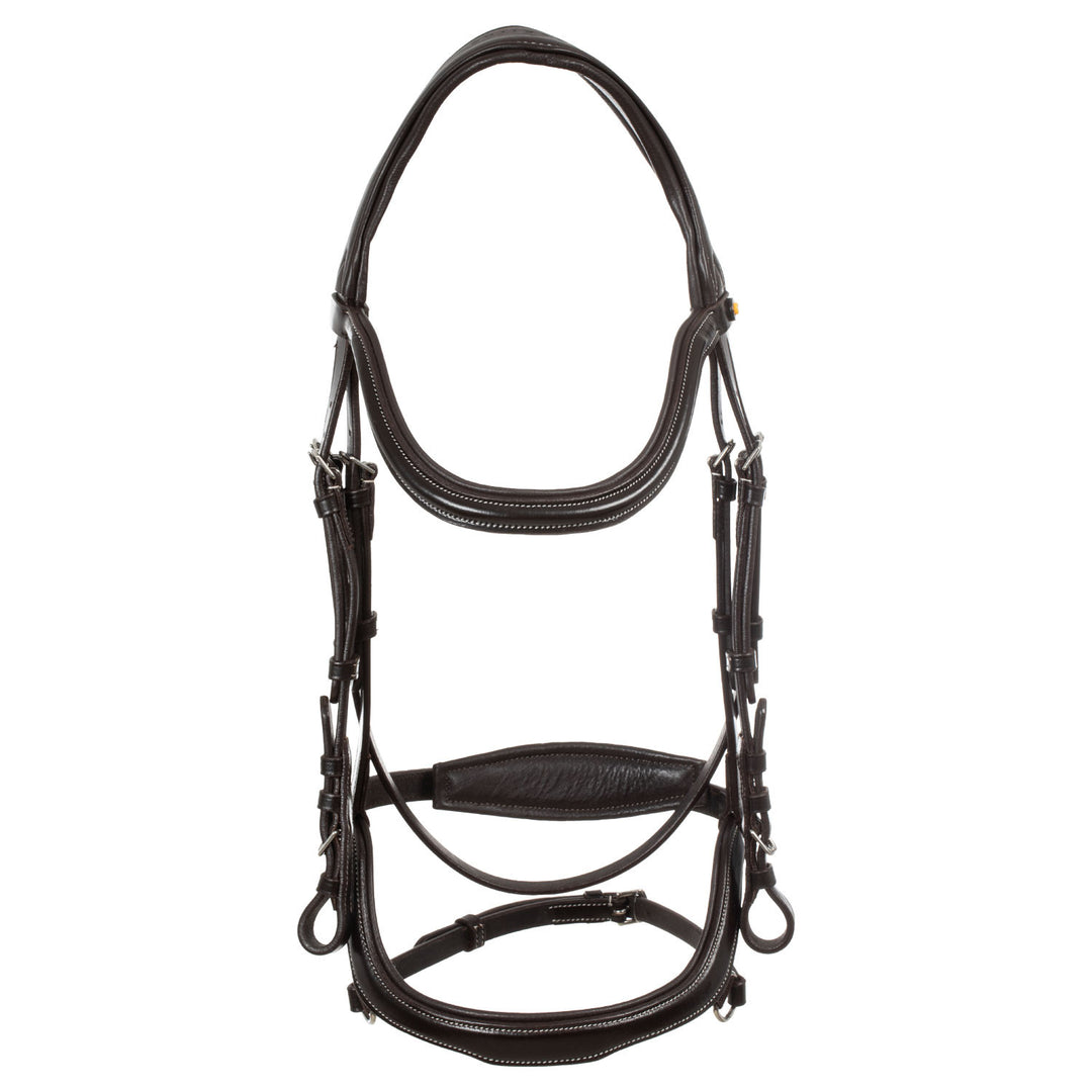 Anatomical bridle contrast stitching