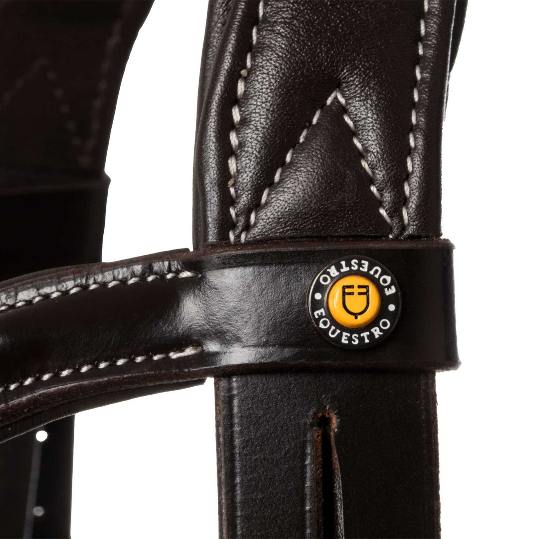 Anatomical bridle contrast stitching