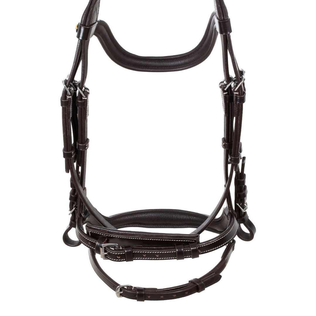 Anatomical bridle contrast stitching