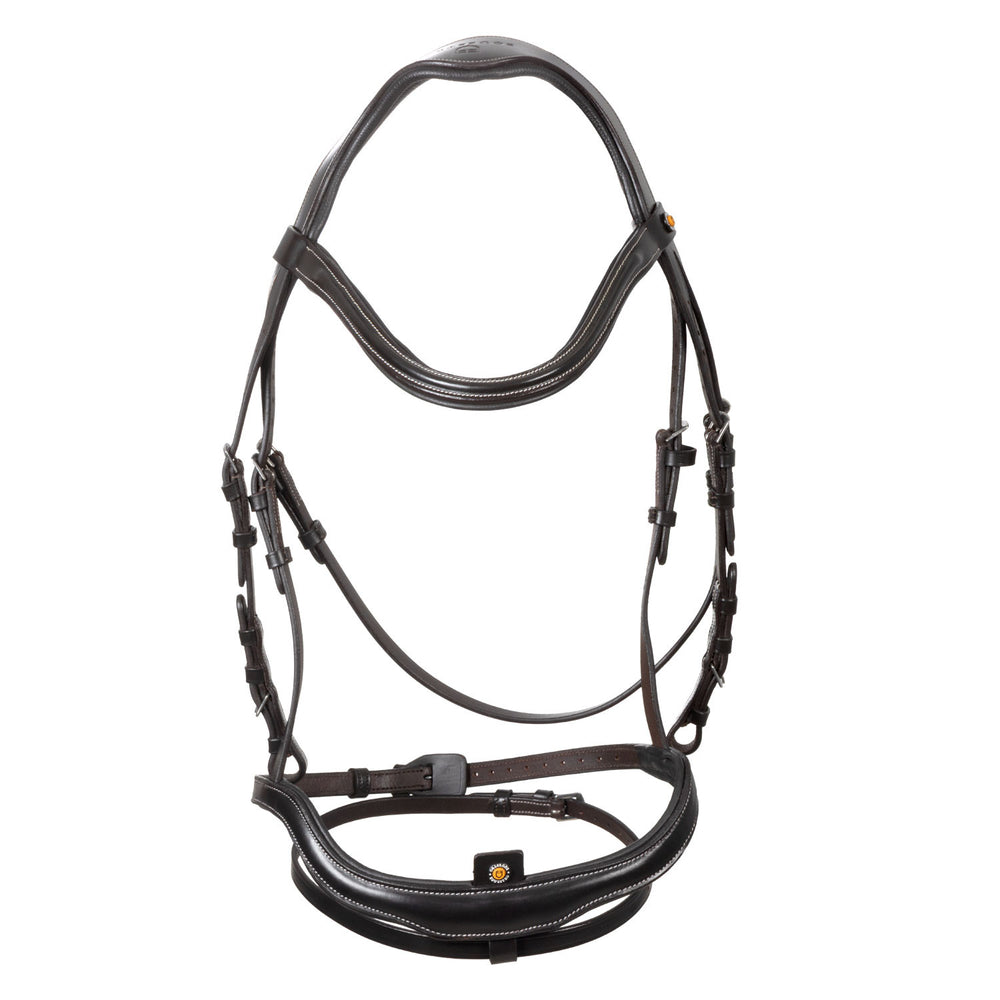 Anatomical bridle with curved noseband