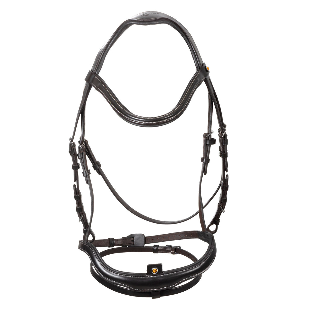 Anatomical bridle with curved noseband