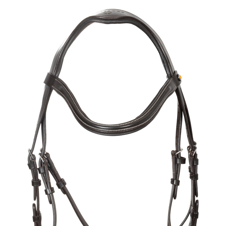 Anatomical bridle with curved noseband