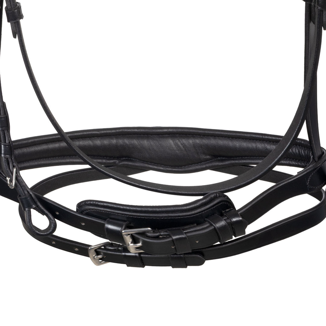 Anatomical bridle with fuchsia rhinestones
