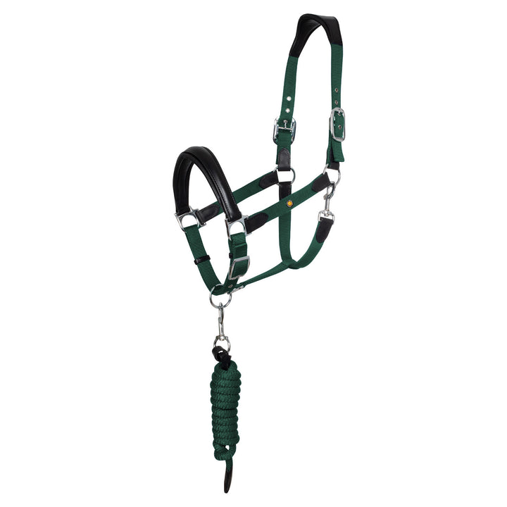 ERGONOMIC HALTER WITH LEATHER INSERTS BLACK/HUNTER GREEN