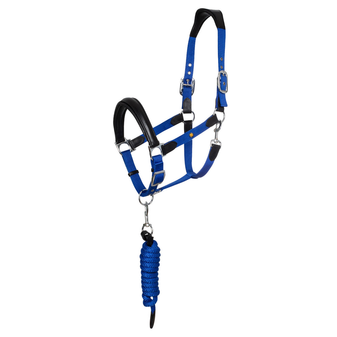 ERGONOMIC HALTER WITH LEATHER INSERTS BLACK/ROYAL