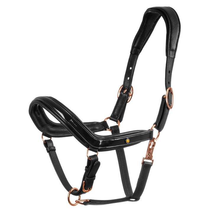 Polished leather halter with rose gold buckle BLACK