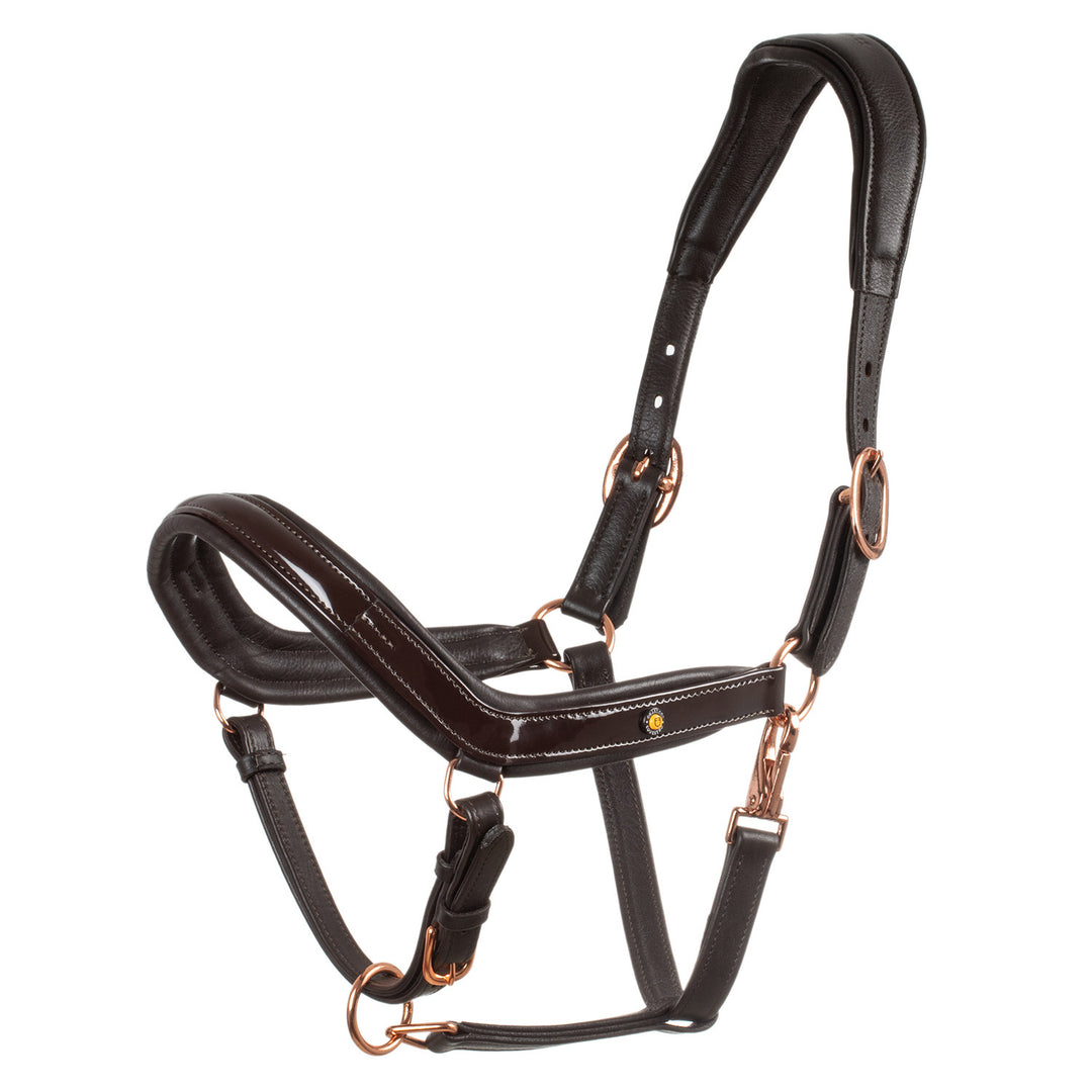 Polished leather halter with rose gold buckle DARK BROWN