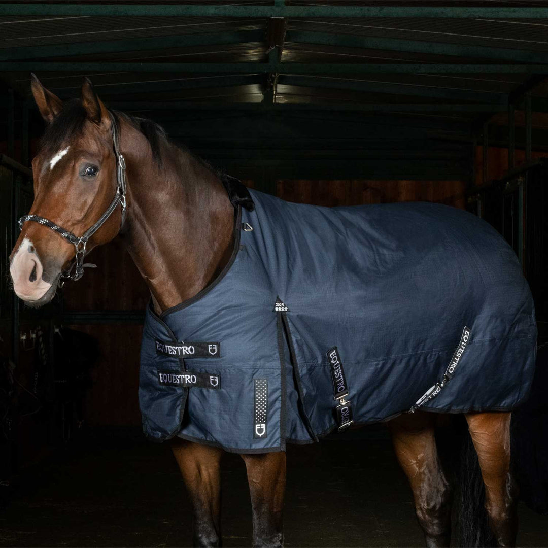 Nevada 250 gr turnout rug in rip-stop fabric NAVY