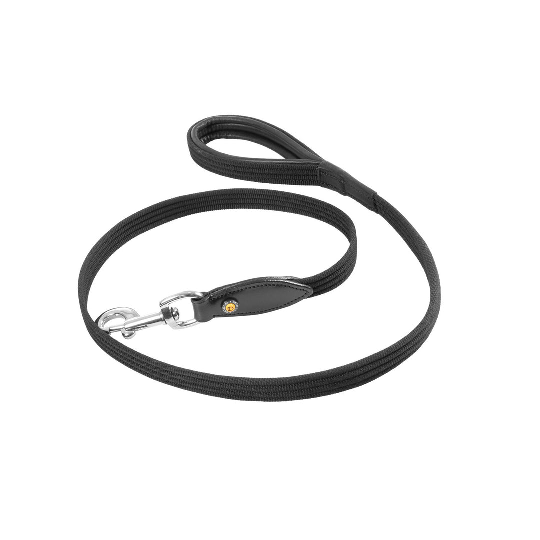 Web dog leash BLACK/BLACK