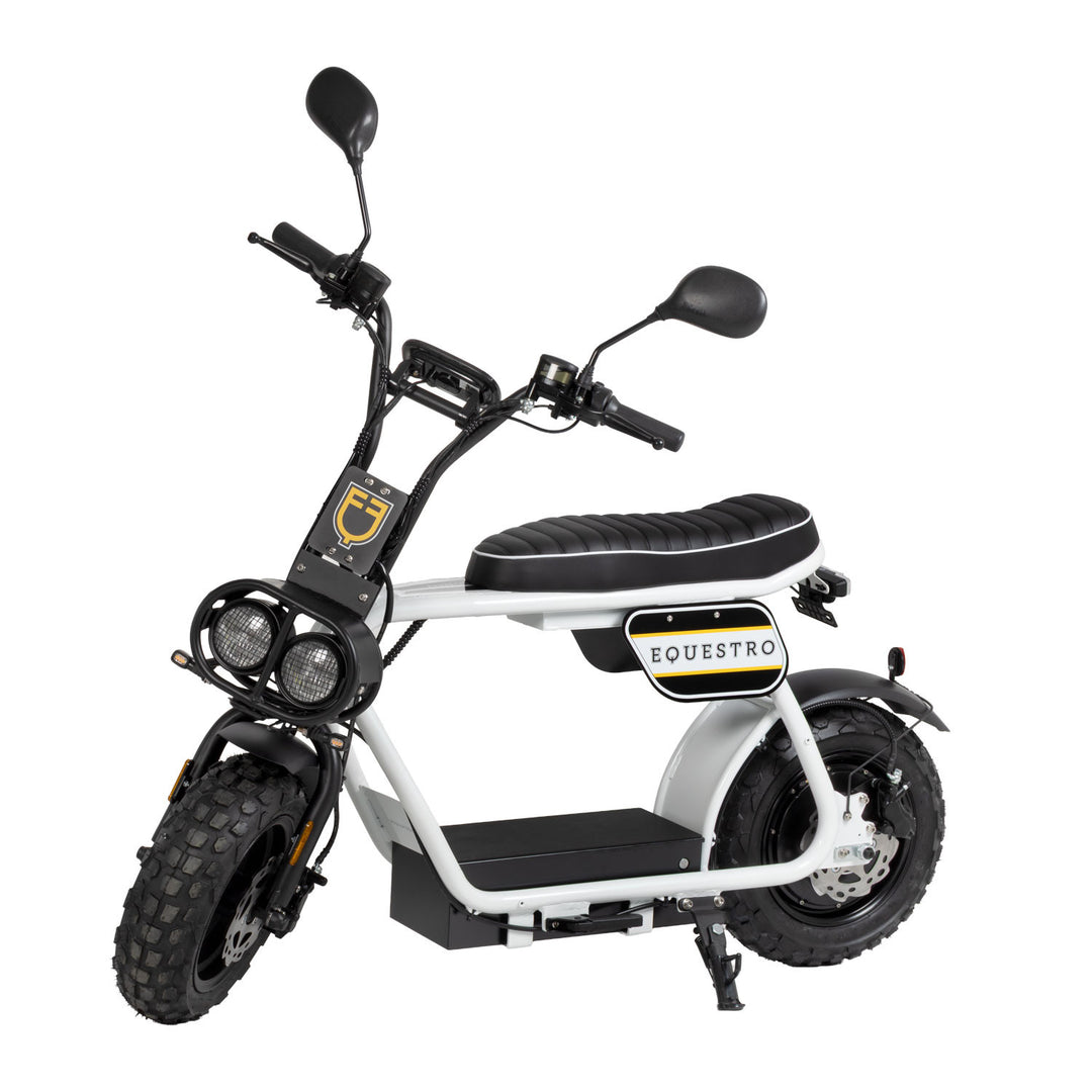 E-one electric scooter 1000W WHITE