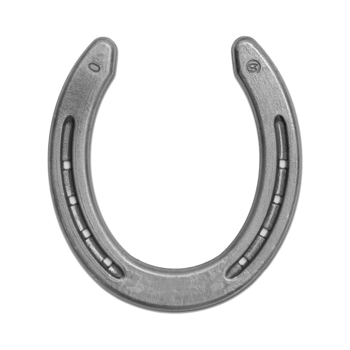 QUARTER HORSE HORSESHOES POSTERIORI