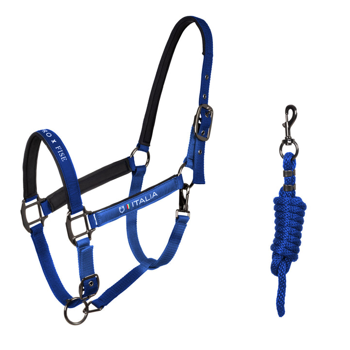 Padded halter double adjustment Equestro X FI AZZURRO SAVOIA (19-4150)