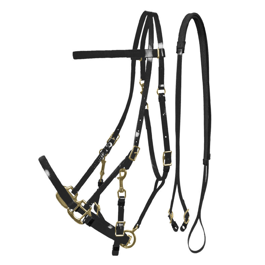 LAKOTA BIOTHANE HALTER-BRIDLE BLACK