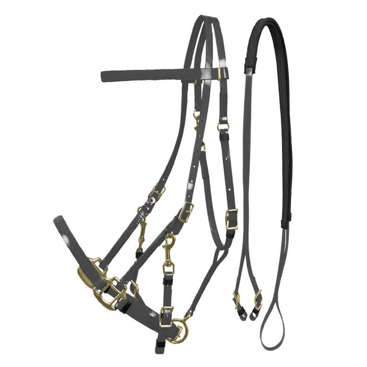 LAKOTA BIOTHANE HALTER-BRIDLE SILVER