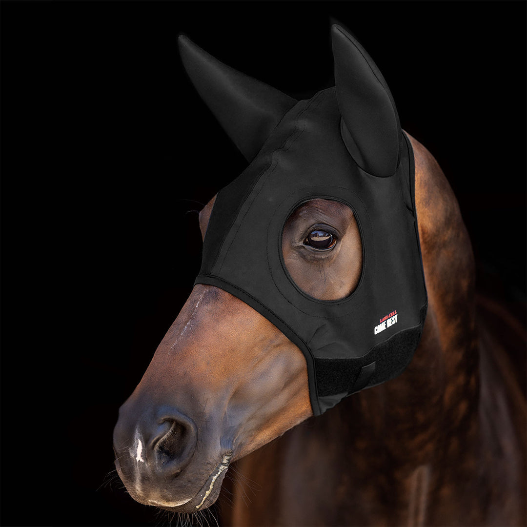 TITANIUM MASK COME BEST WITH EARS BLACK